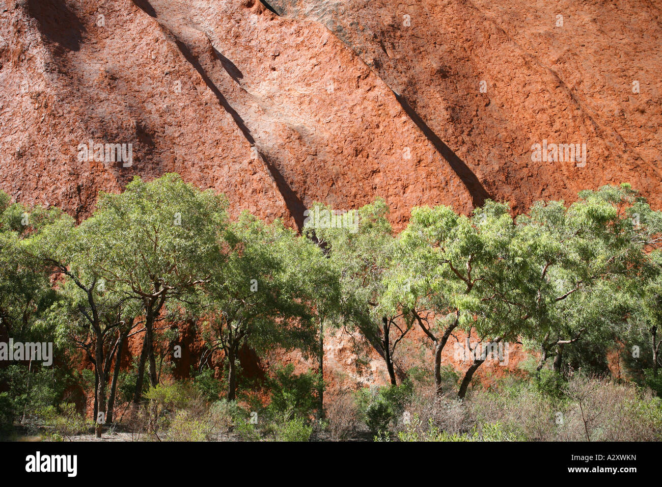 Ayers Rock - uluru - Territoire du Nord - Australie Banque D'Images