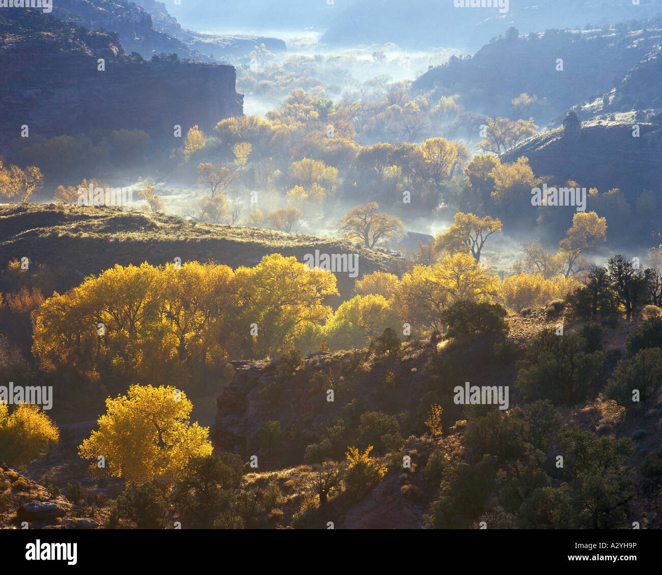 Matin d'automne brume sur la vallée de la rivière Escalante Banque D'Images