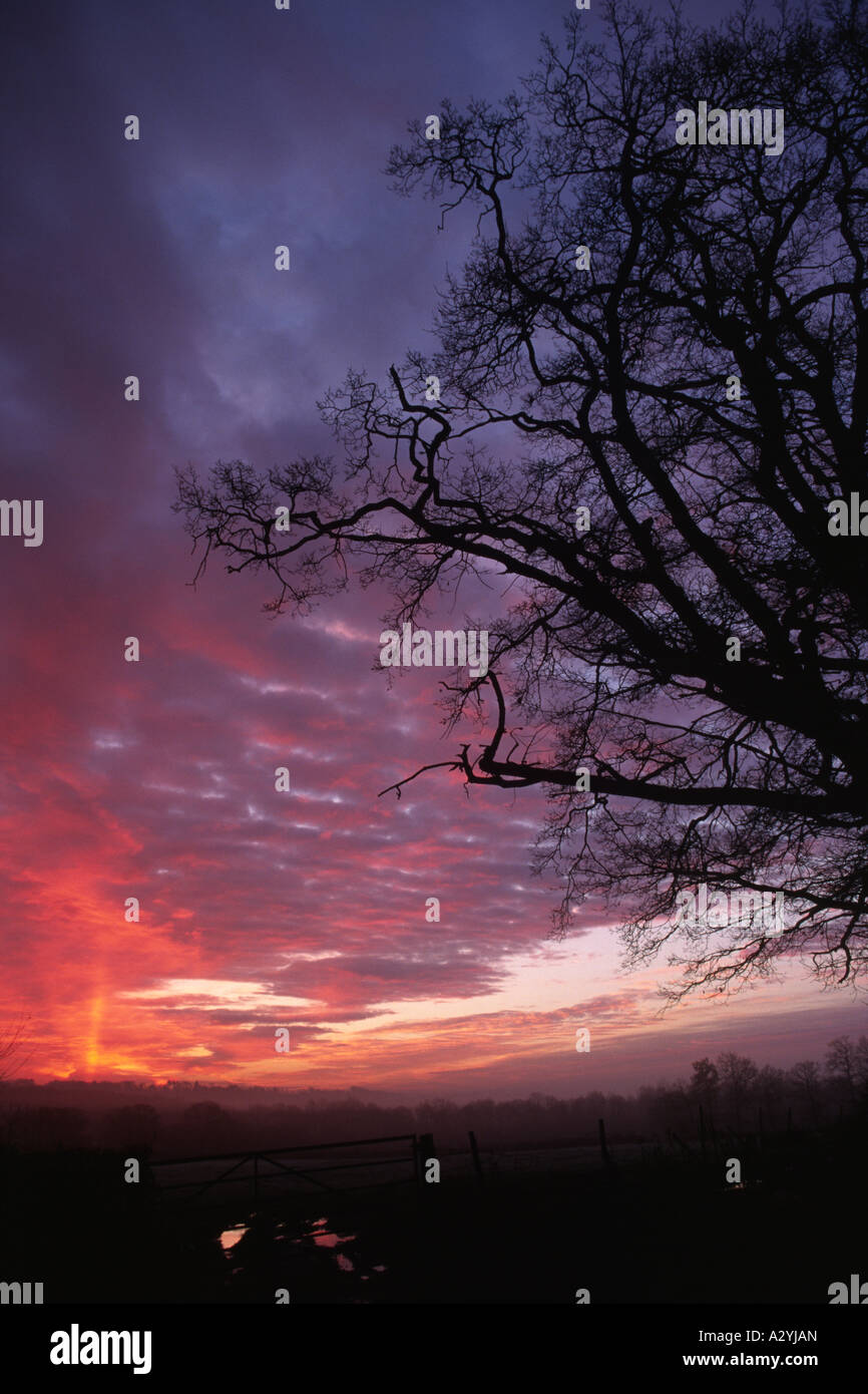 L'aube alors que le soleil se lève sur la campagne du Sussex. Banque D'Images
