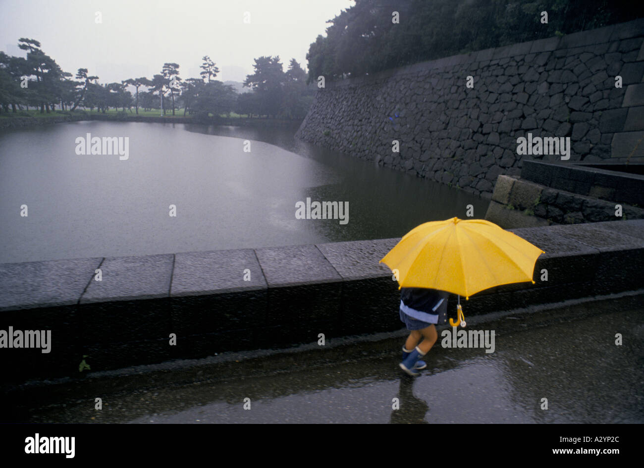 Jeune enfant marche dans la pluie avec umberella jaune Banque D'Images