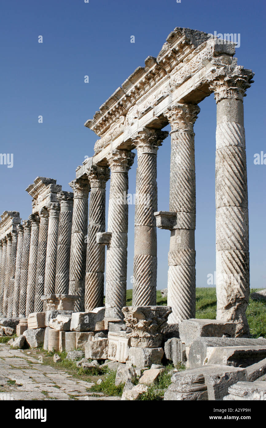 Ruines d'Apamée, en Syrie, au Moyen-Orient Banque D'Images