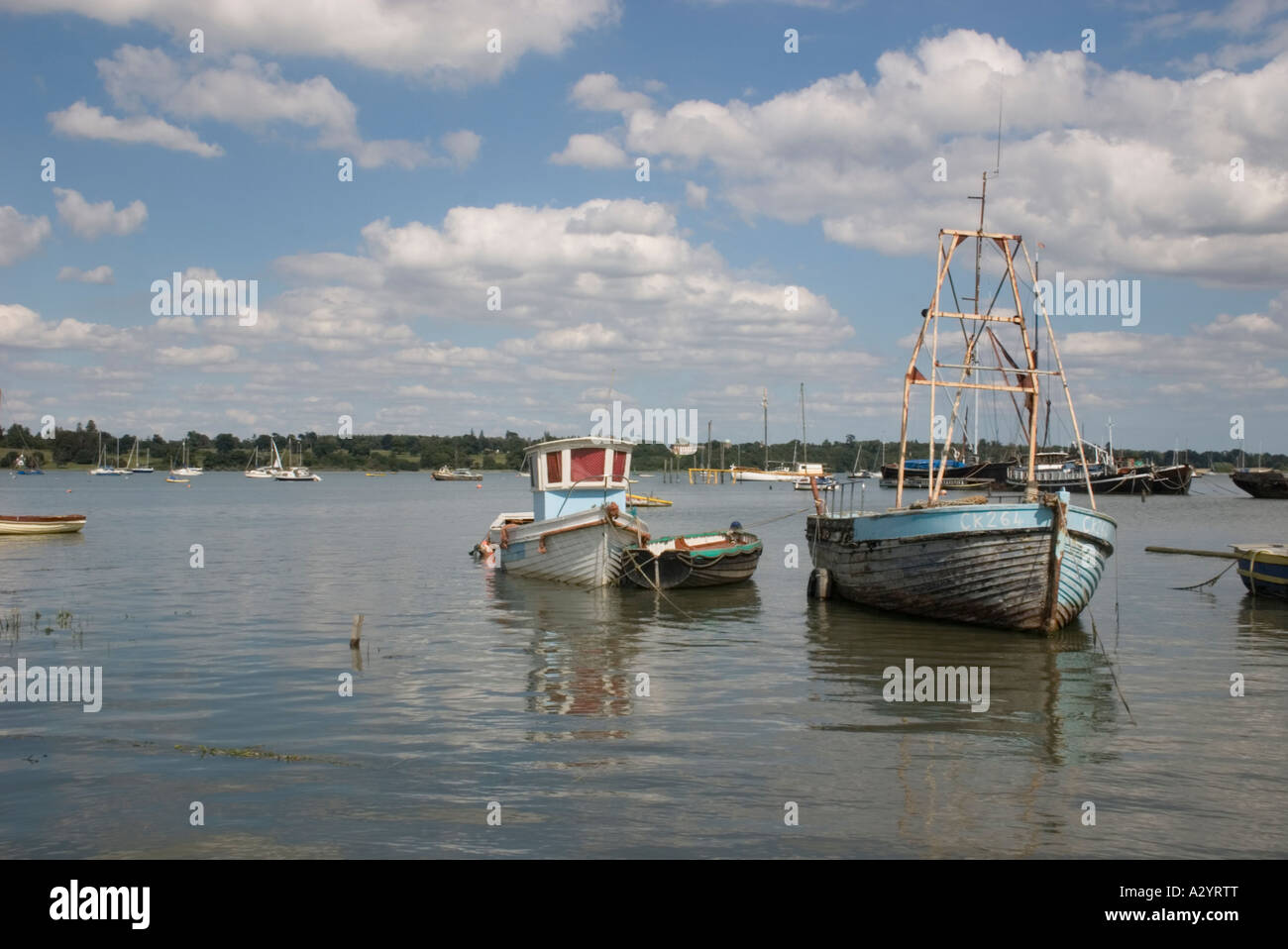 Des bateaux de pêche à l'usine de pin Banque D'Images