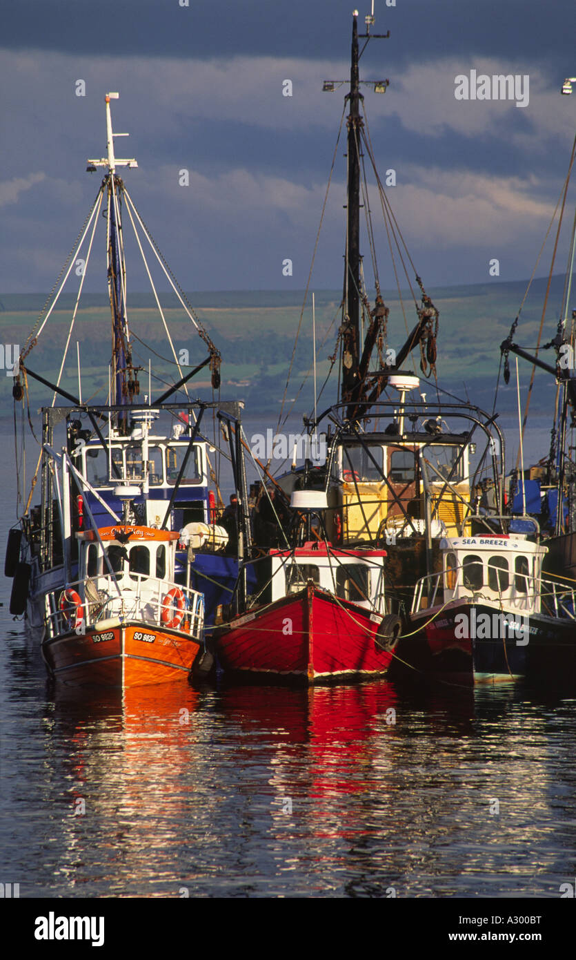 Les chalutiers de pêche à Greencastle port. Inishowen, comté de Donegal, Irlande. Banque D'Images