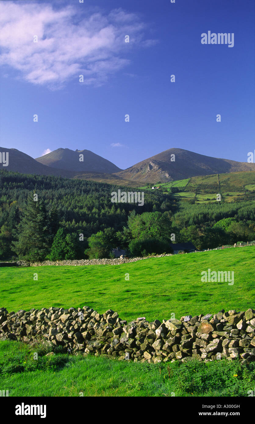Champs verts sous les montagnes de Mourne. Le comté de Down, Irlande du Nord, Royaume-Uni Banque D'Images