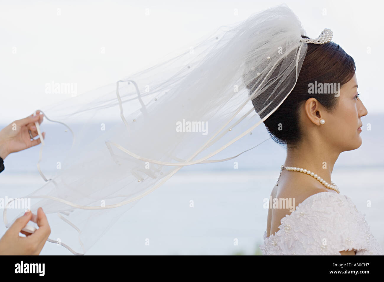 Mains tenant Bridal Veil Banque D'Images