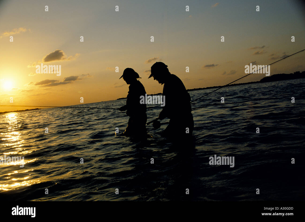 Bonefishing aux Bahamas accueil pataugeant au coucher du soleil Banque D'Images