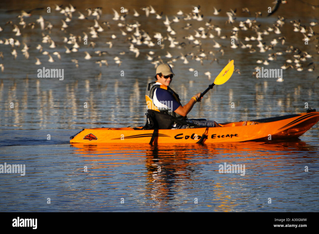 Kayak dans la baie arrière Newport Newport Beach Orange County California United States USA (MR) modèle libération Banque D'Images