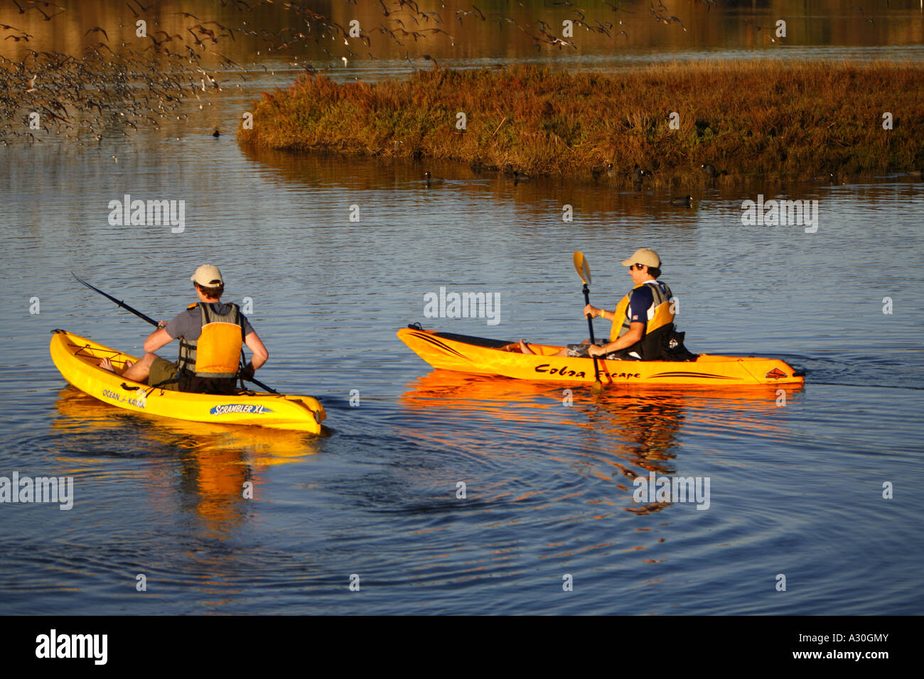 Kayak dans la baie arrière Newport Newport Beach Orange County California United States USA modèle libération (MR) Banque D'Images