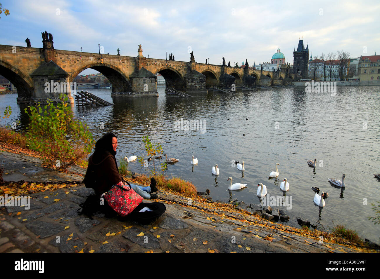 Les femmes nourrir les cygnes par Charles Bridge Prague République Tchèque Europe Banque D'Images