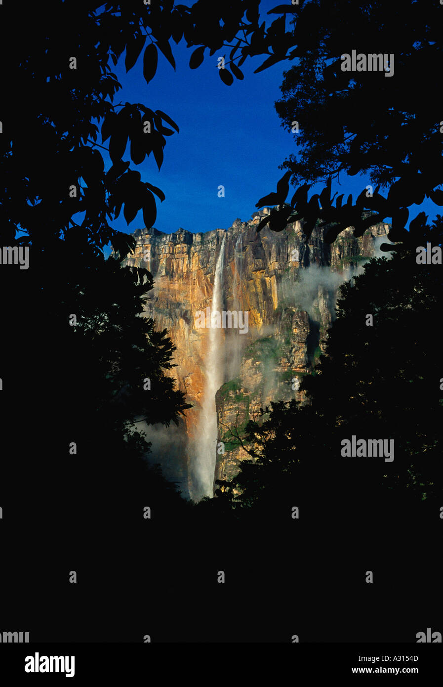 Angel Falls plus haute cascade du monde en Parc national Canaima early morning light Auyantepuy table mountain Venezuela Banque D'Images