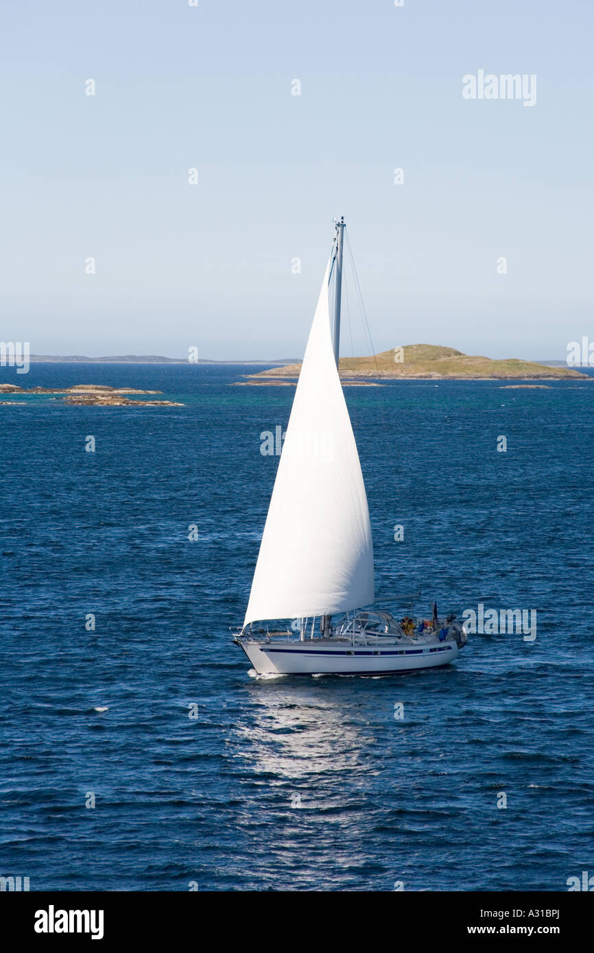 Un yacht qui navigue dans le fjord de Trondheim (Norvège) Trondheimsfjorden Banque D'Images