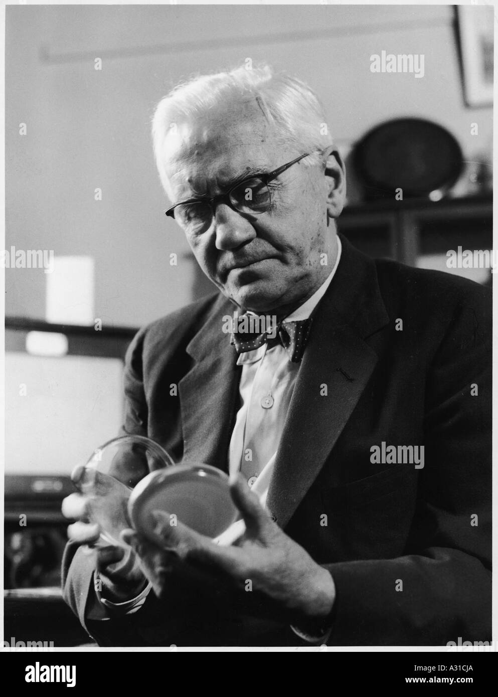Fleming dans son laboratoire 1952 Banque D'Images