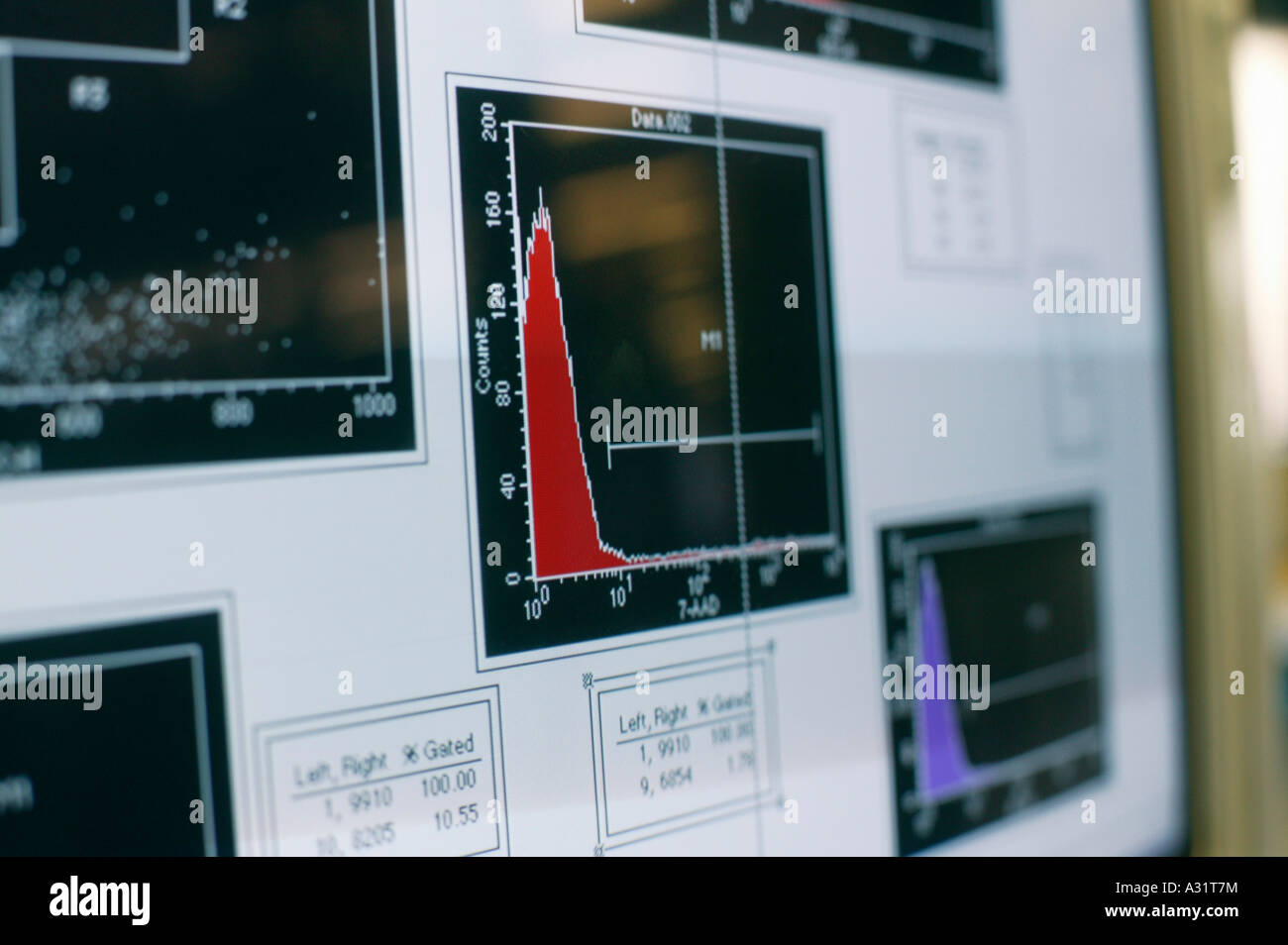 Graphiques et tableaux sur l'écran de l'ordinateur dans un laboratoire Banque D'Images