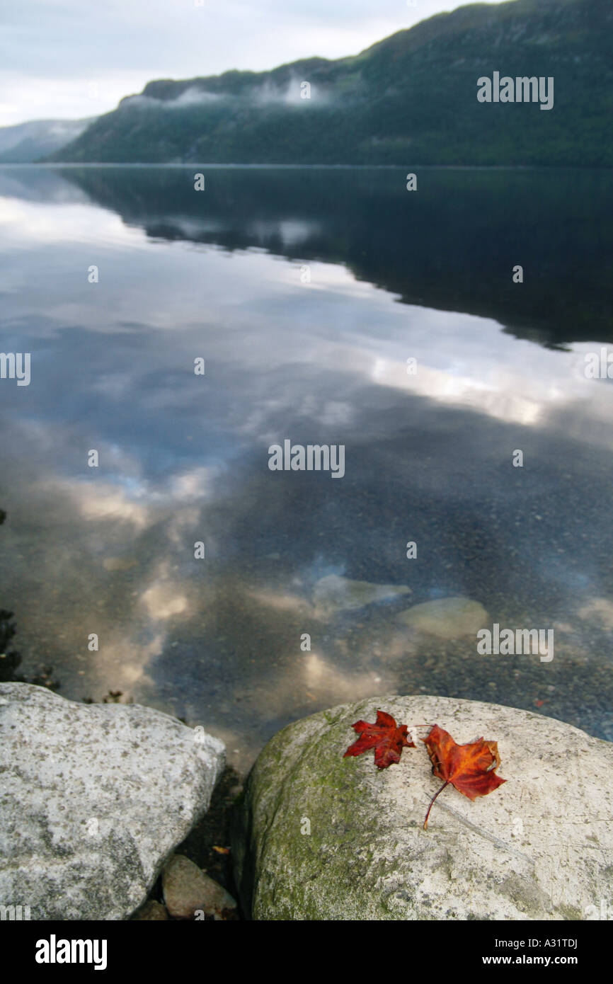 Feuilles rouges sur un rocher au bord d'un lac avec des montagnes en arrière-plan Banque D'Images