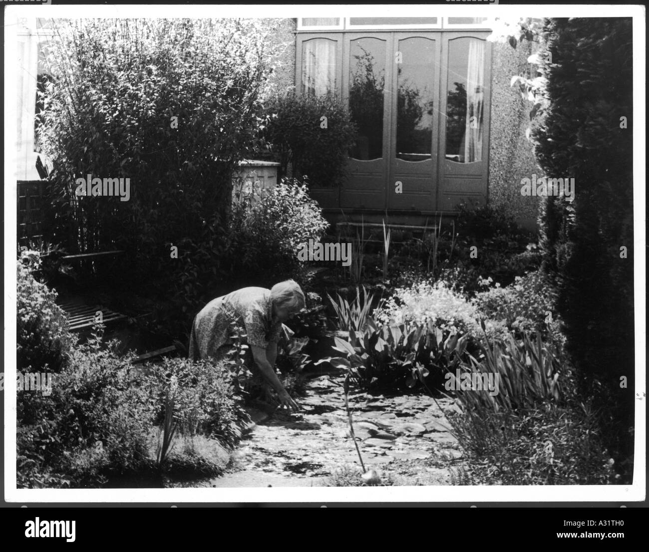 Femme de jardinage Banque D'Images