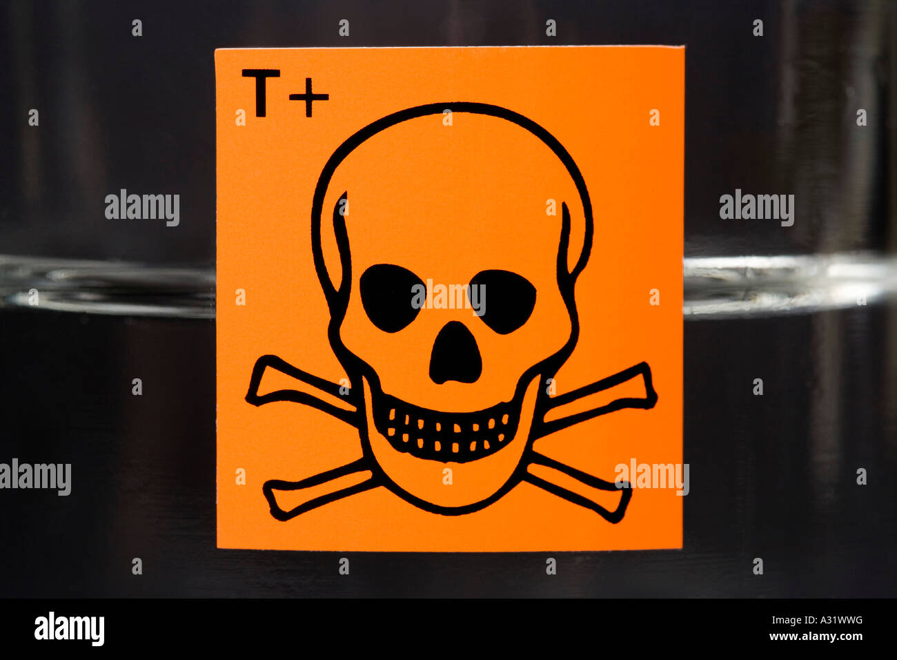 Substance toxique label avec tête de mort sur le flacon en verre contenant du liquide Banque D'Images Substance toxique label avec tête de mort sur le flacon en verre contenant du liquide Banque D'Images