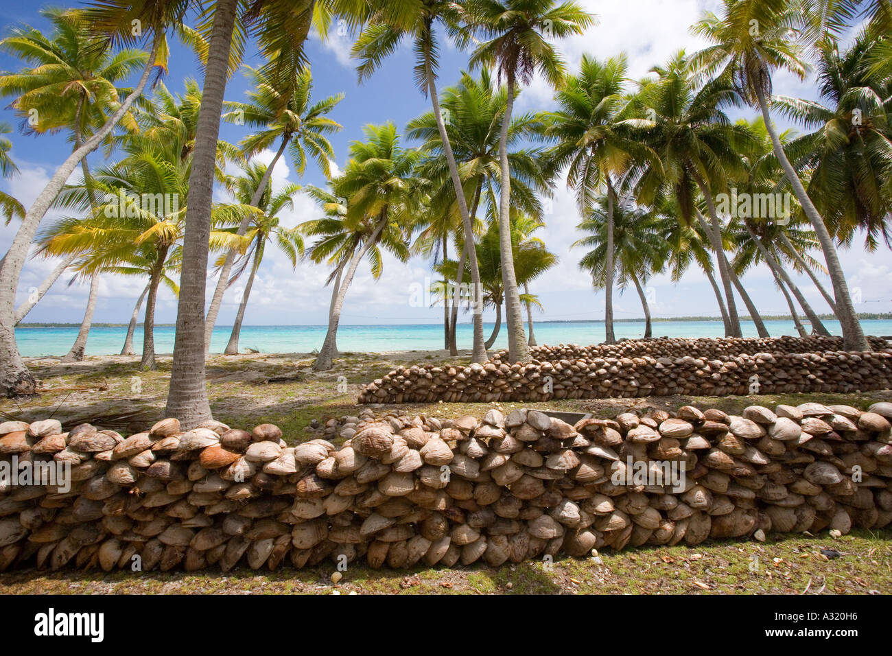 plantation-tuamotu-takapoto-coprah-polynesie-francaise-a320h6.jpg