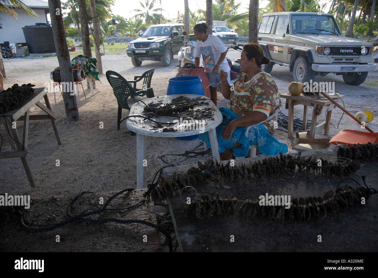 Black Pearl de Takaroa ferme Tuamotu Polynésie Française Editorial Utilisez uniquement Banque D'Images