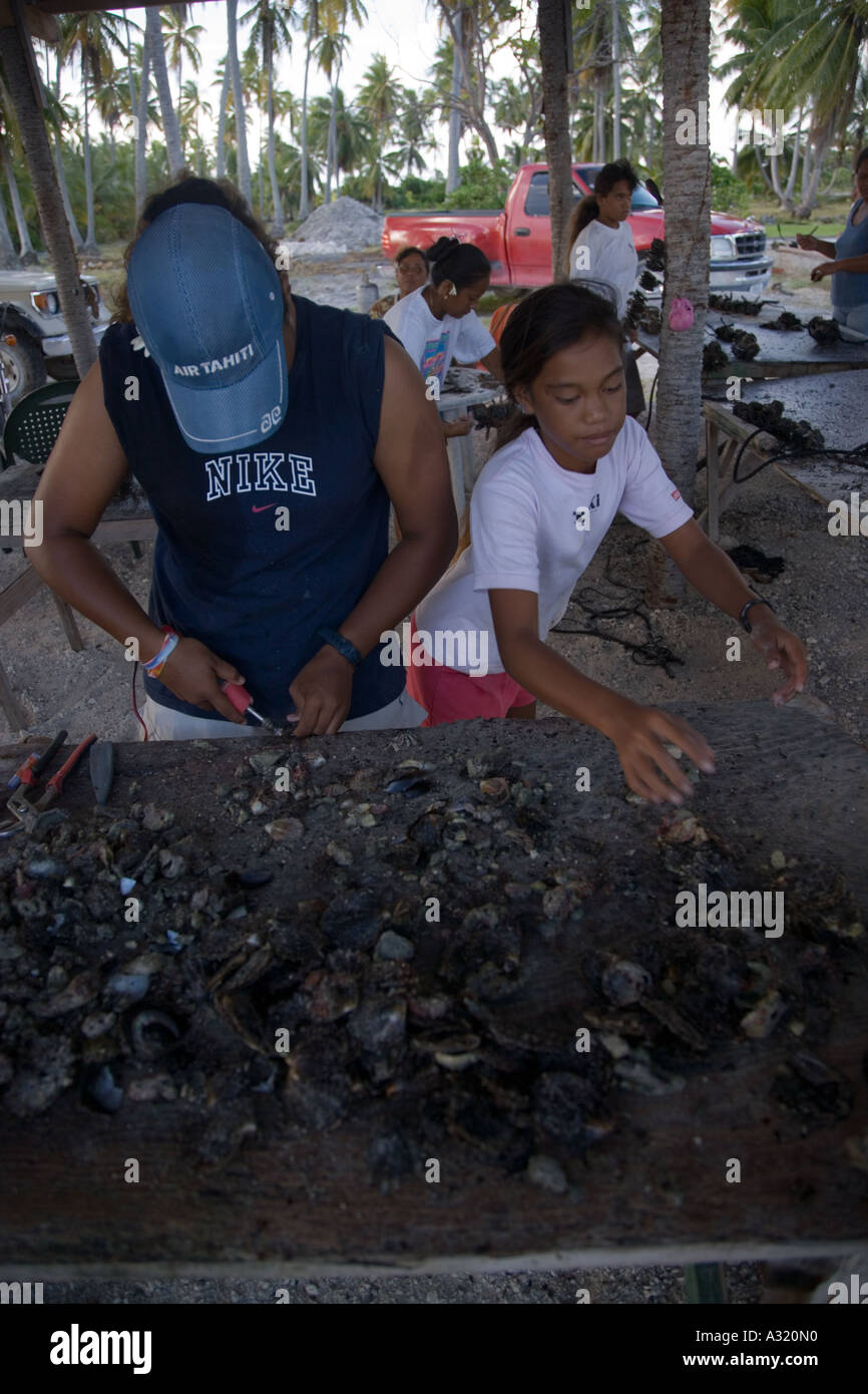 Black Pearl de Takaroa ferme Tuamotu Polynésie Française Editorial Utilisez uniquement Banque D'Images
