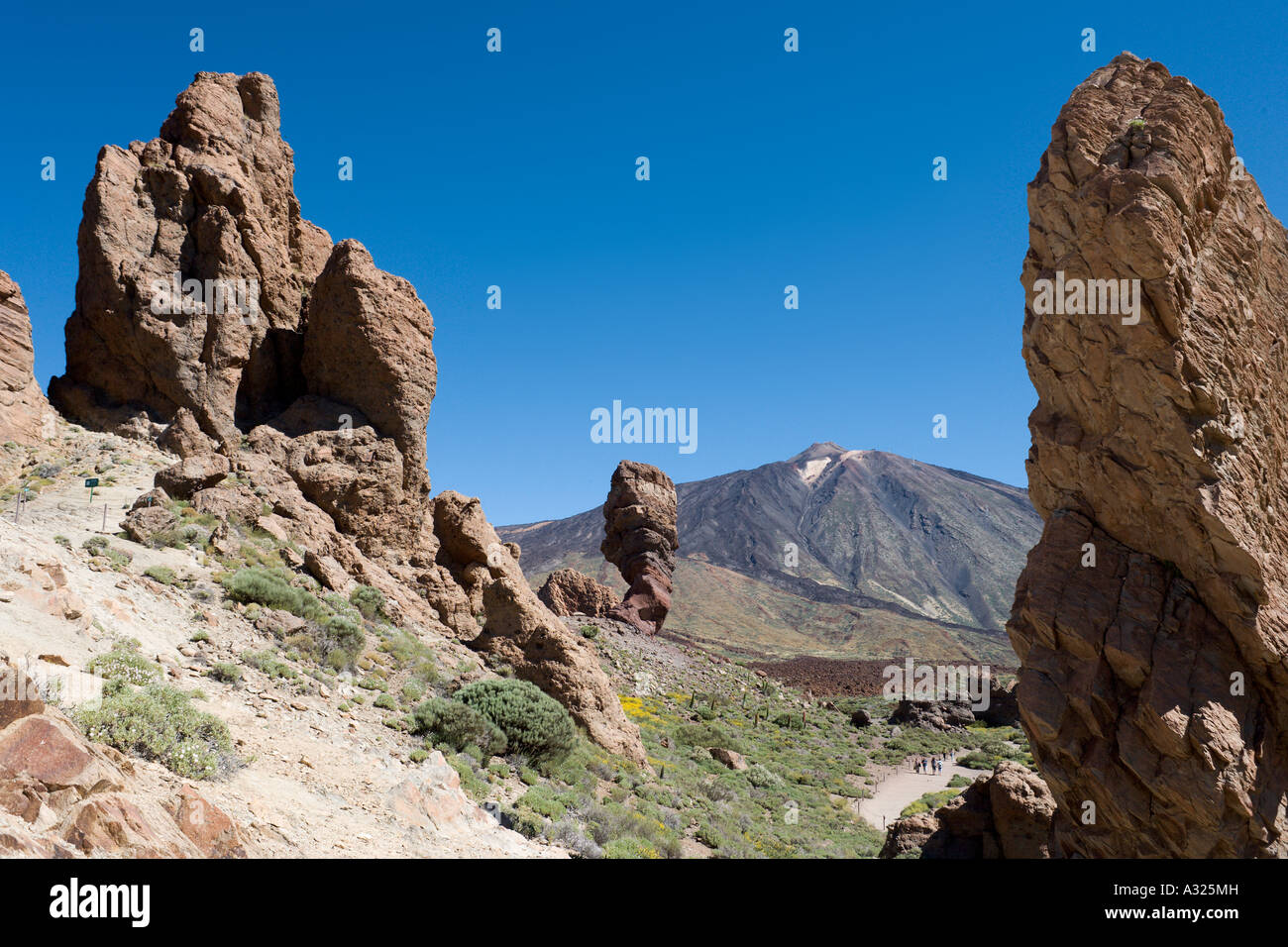 Le Mont Teide et Los Roques de Garcia, Las Canadas del Teide, Tenerife, Canaries, Espagne Banque D'Images