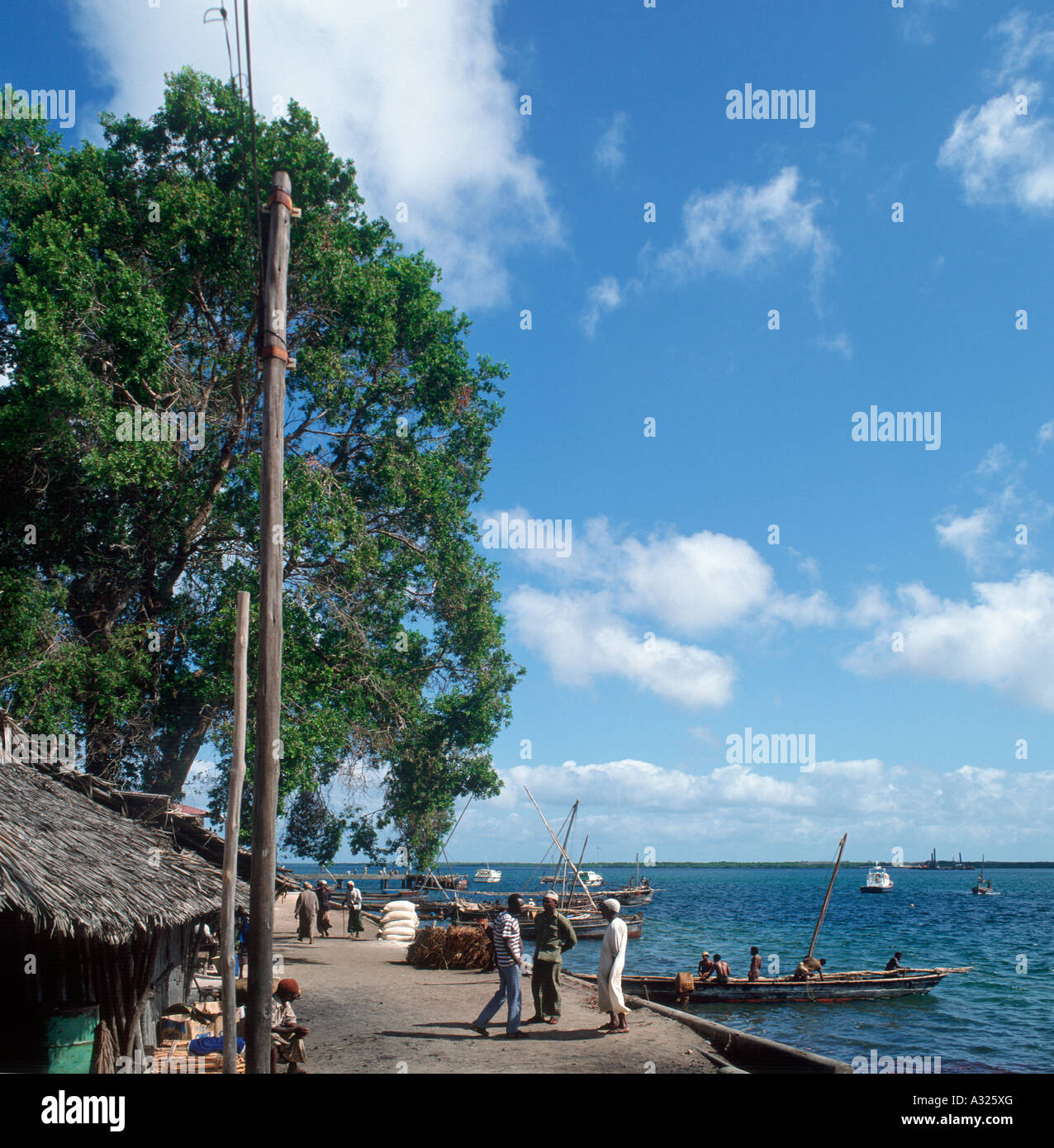 Front de mer dans la ville de Lamu, l'île de Lamu, au nord d'authenticité,t Kenya, Afrique de l'Est Banque D'Images