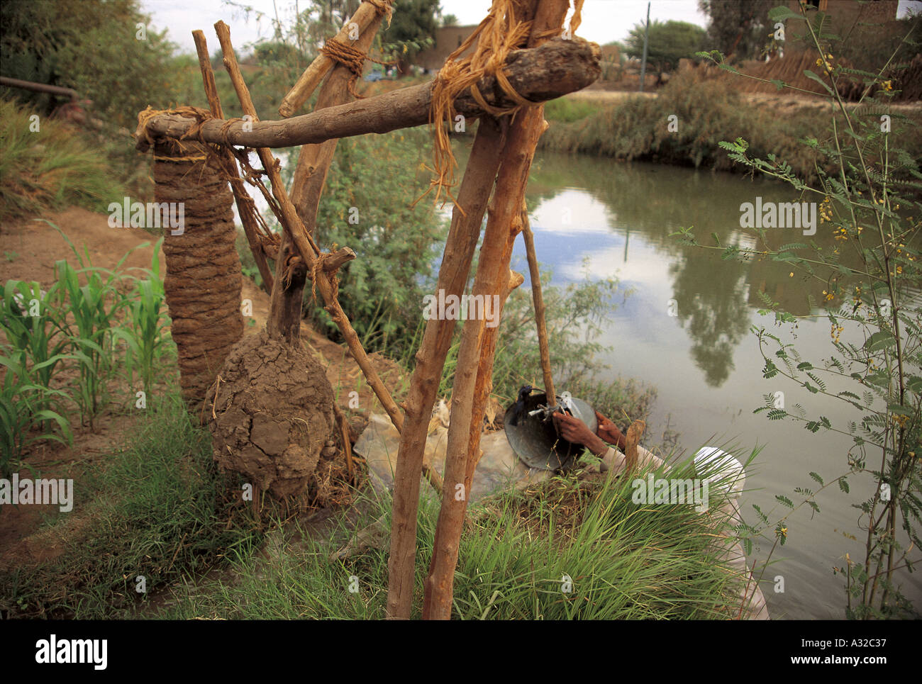 L'ancienne méthode d'irrigation de l'ombre à l'aide d'un seau et La poulie est toujours utilisée en haute-Égypte Banque D'Images
