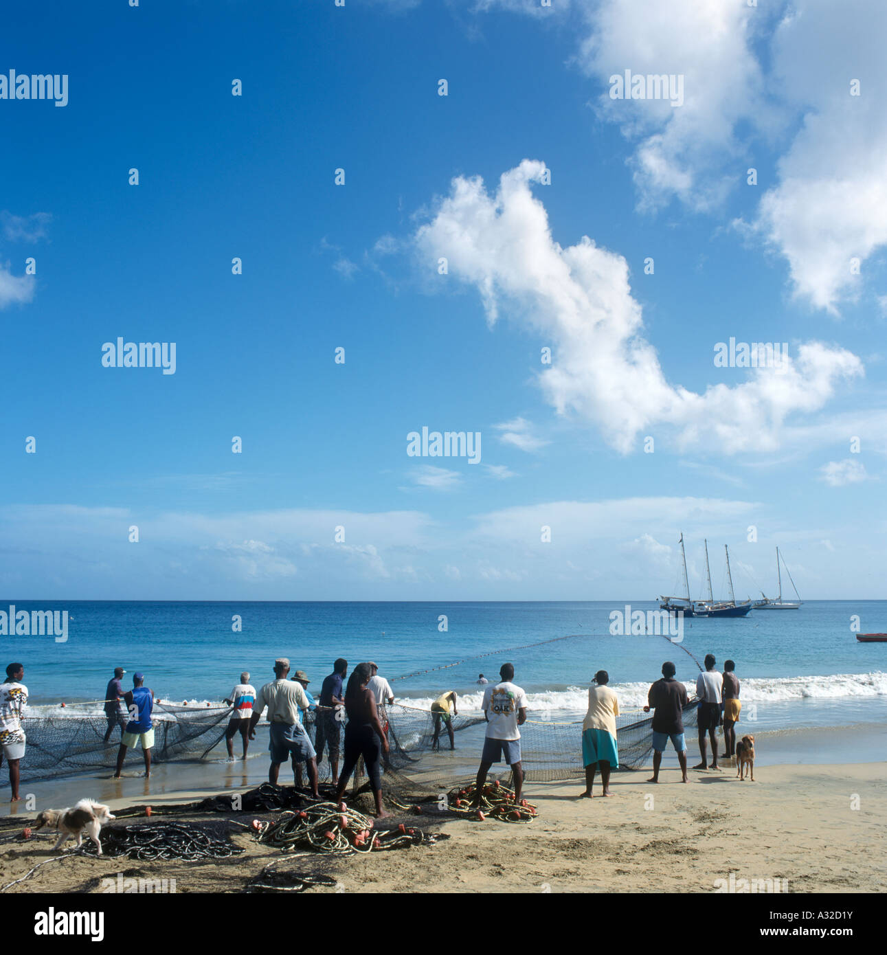 Pêche à la population locale de la plage avec des filets, Mount Irvine Bay Beach, Tobago, Trinité-et-Tobago, dans les Antilles, Caraïbes Banque D'Images