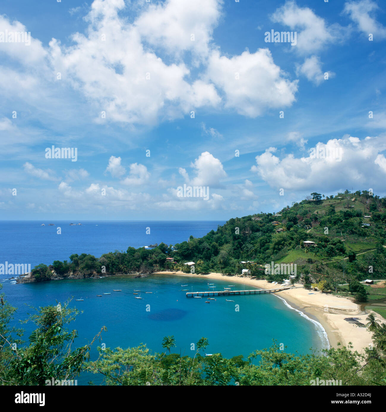Parlatuvier Bay, Tobago, Trinité-et-Tobago, dans les Antilles, Caraïbes Banque D'Images