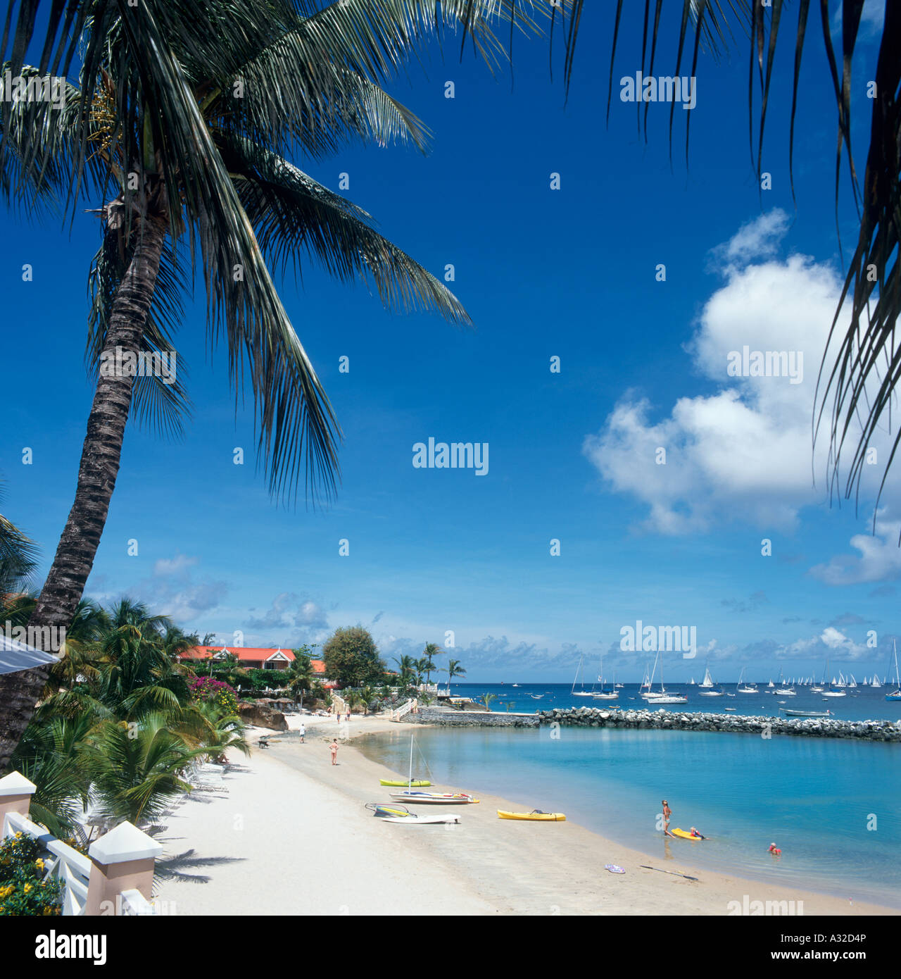 Plage Près de Coco Reef Resort, Tobago, Trinité-et-Tobago, dans les Antilles, Caraïbes Banque D'Images