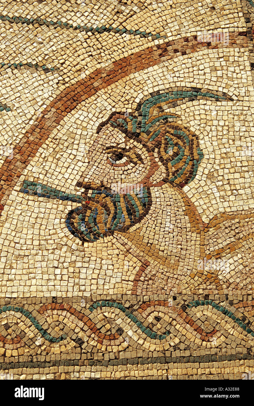 Mosaïque romaine avec la tête de l'homme de Lixus, Musée Tétouan, Maroc Banque D'Images