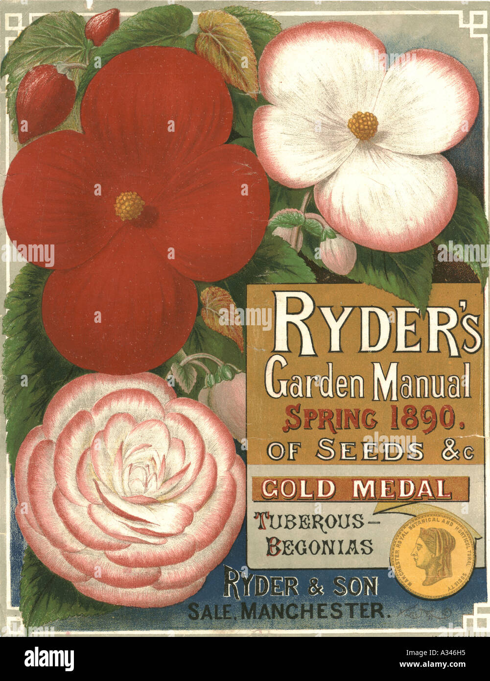 Ryder's garden manual 1890 Banque D'Images