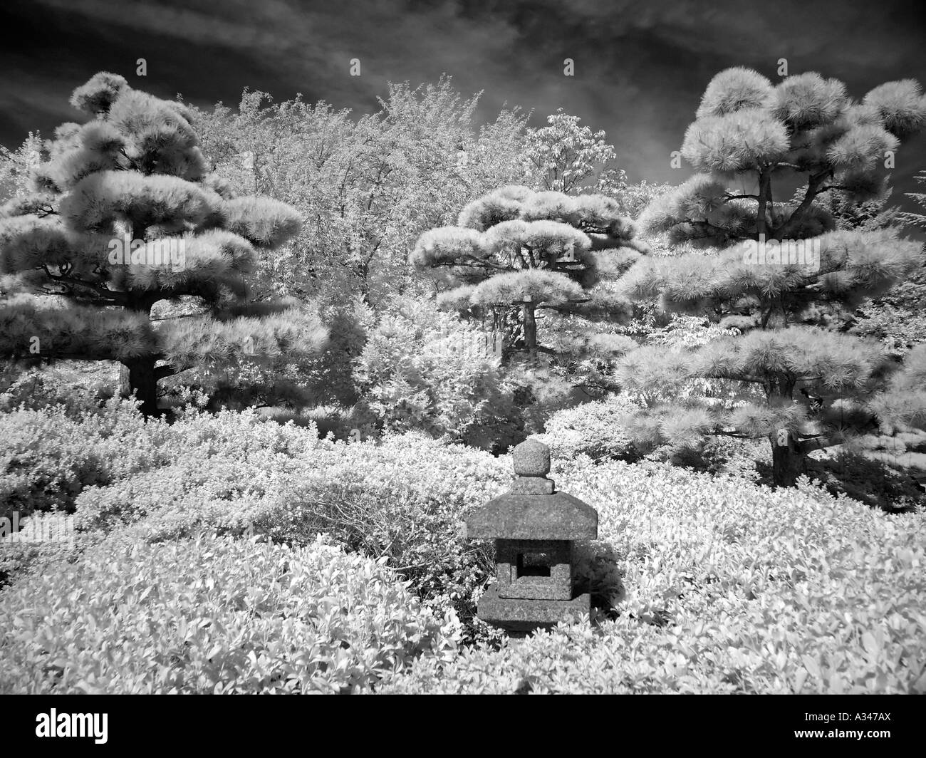 Jardin Japonais Hambourg Allemagne Banque D'Images