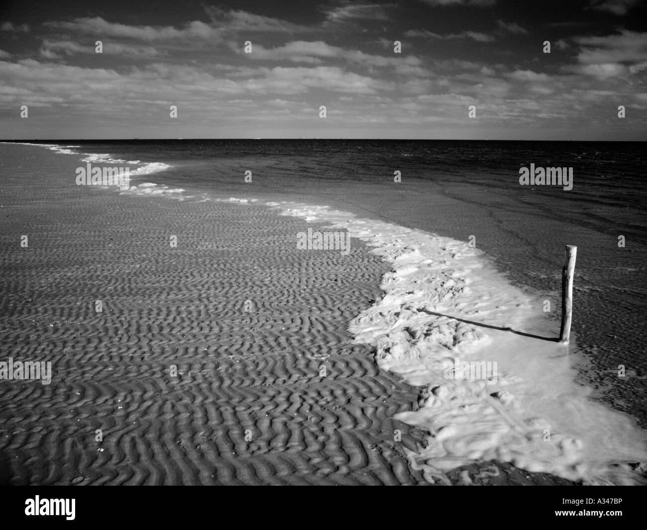 Un volet à la côte de la mer du nord allemande sur l'île de Föhr Banque D'Images