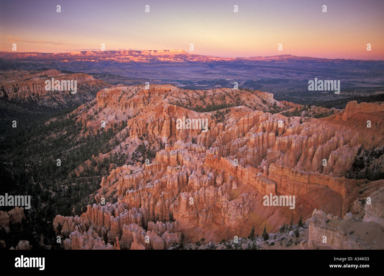 Cheminées de grès au coucher du soleil dans l'Amphithéâtre de Bryce Canyon Utah USA US États-Unis d'Amérique Banque D'Images