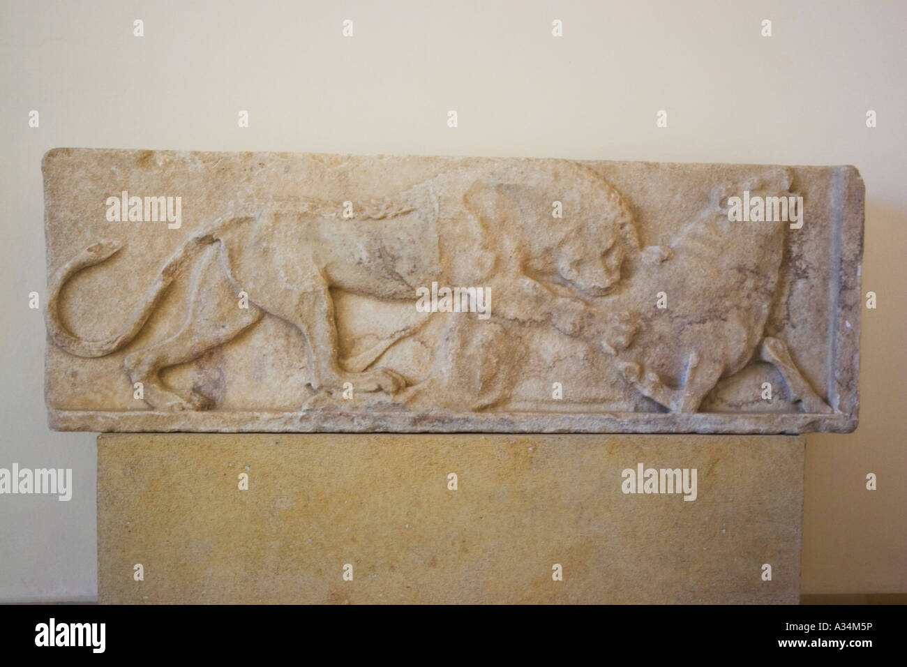 Île grecque Paros Parikia Musée Archéologique de Paros Relief dalle avec scène de Lion attaquant un taureau Banque D'Images
