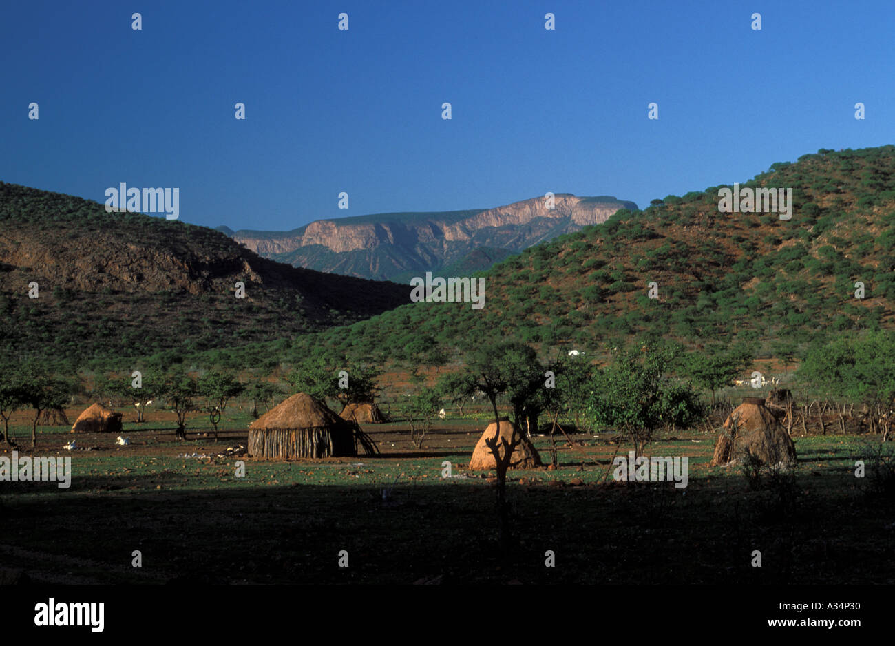 L'intérieur de huttes de Kraal Ovahimba Himba peuple nocmadic tibe Kaokoveld saison des pluies en Afrique Namibie Banque D'Images