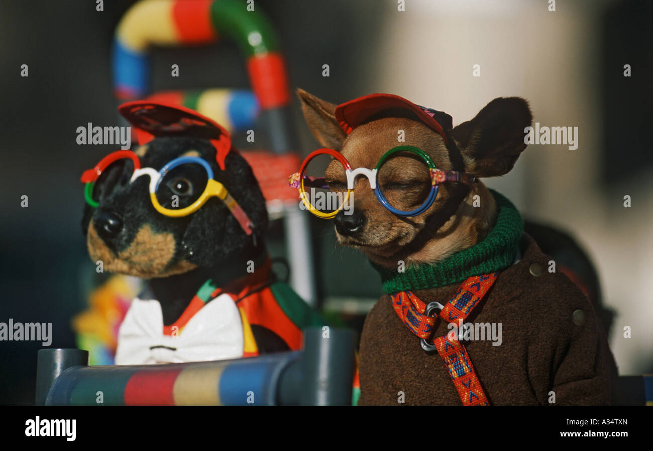 L'exécution de chien, Las Ramblas, Barcelone, Espagne Banque D'Images