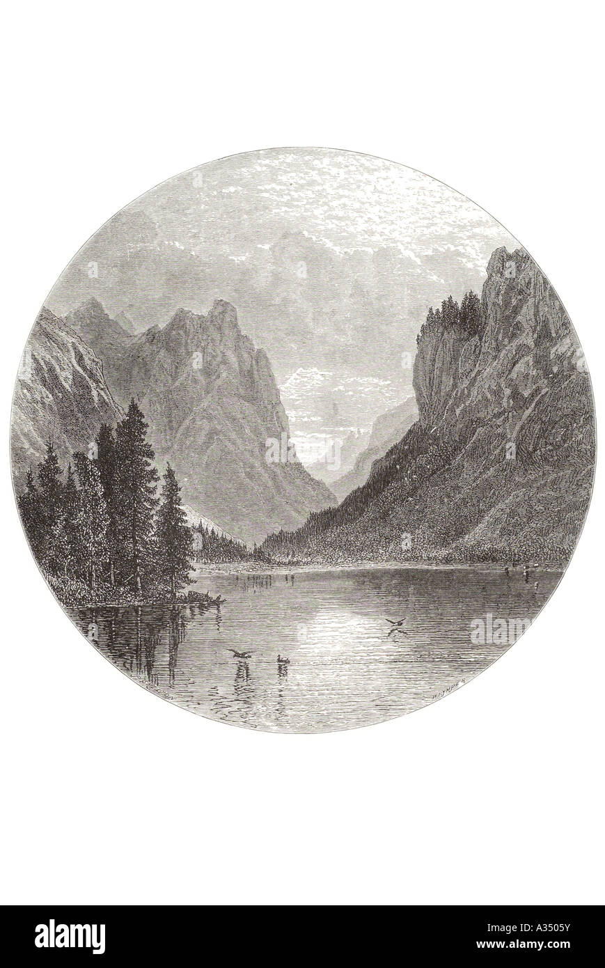 Autriche Tyrol en Autriche Tyrol lake alpine mountain valley alp calme eau oiseau pacifique paix été tranquille soirée d'arbres forestiers Banque D'Images