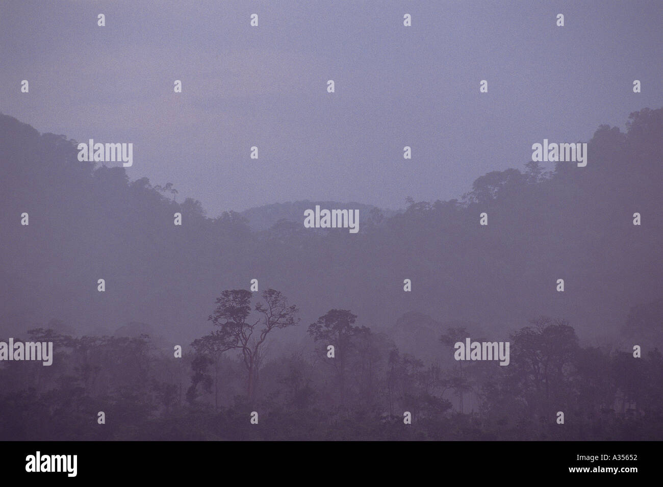 Amazon Brésil Rainforest valley avec brume matinale de la rivière Xingu État Para Banque D'Images