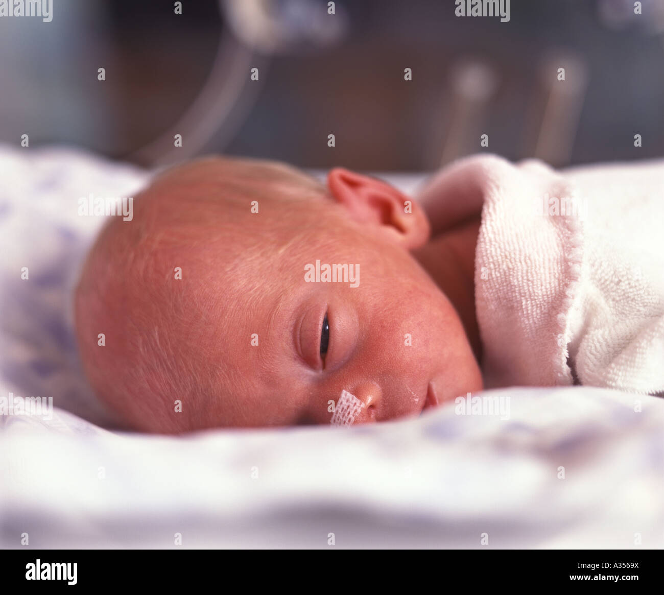 Tiny Premature Baby In Incubator Banque D Image Et Photos Alamy