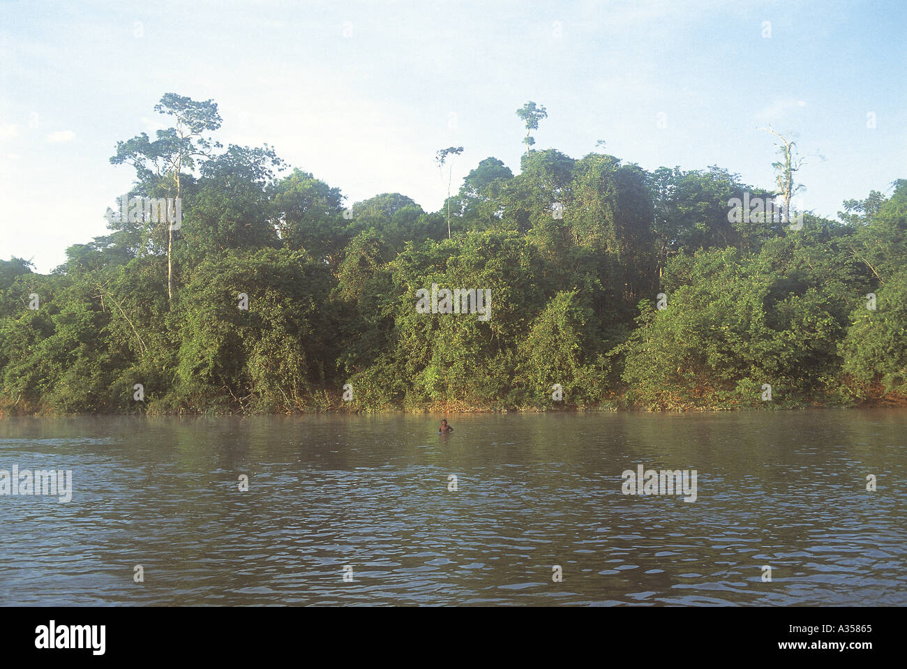Un Ukre village Kayapo du Brésil indien, baignade dans la rivière avec la forêt tropicale de la réserve autochtone de Xingu derrière Banque D'Images