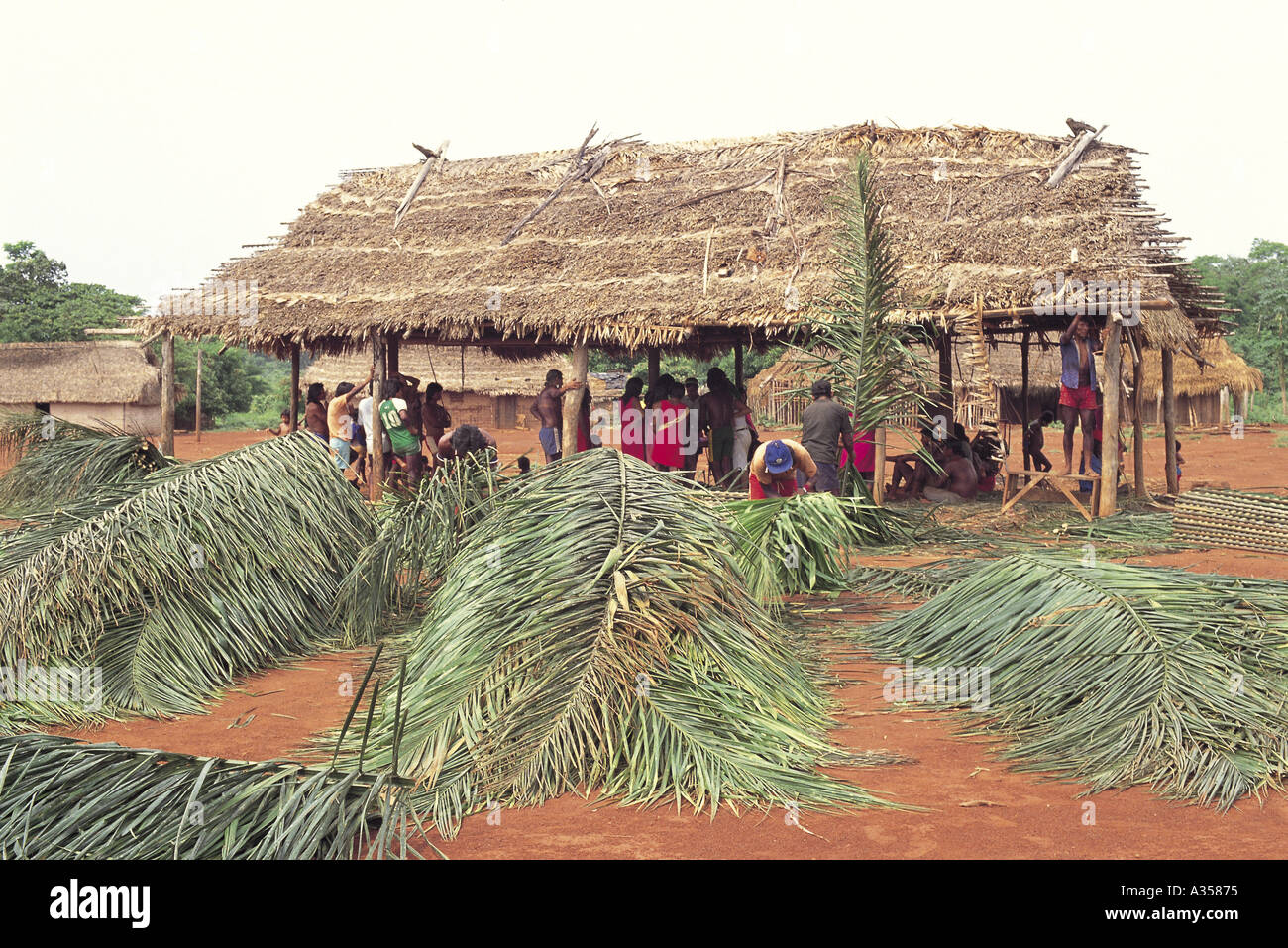 Un Ukre Village Brésil hommes du village travaillent ensemble pour construire une nouvelle maison au toit de chaume de palmier de la tribu Kayapo Banque D'Images