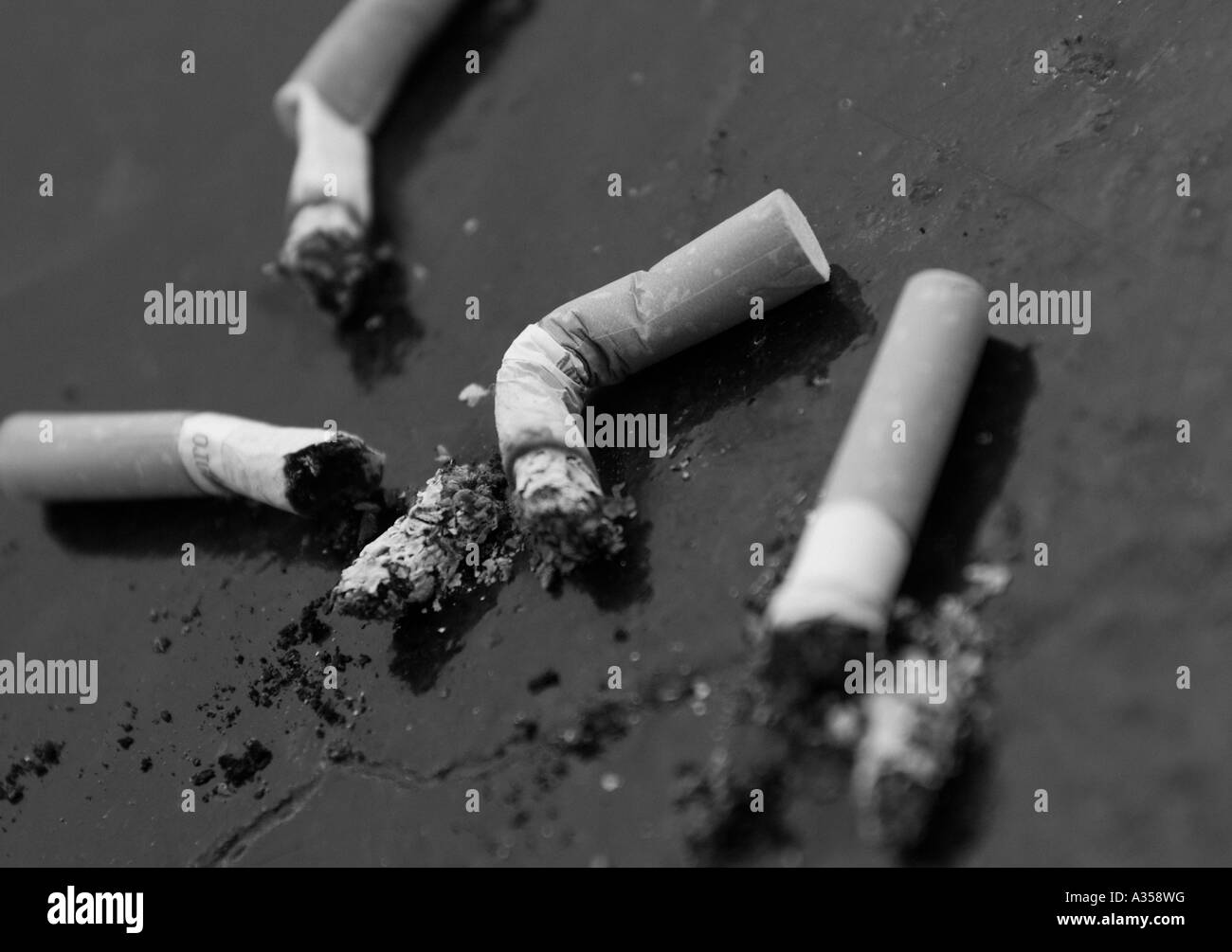 Stub cigarettes sur le sol Banque D'Images