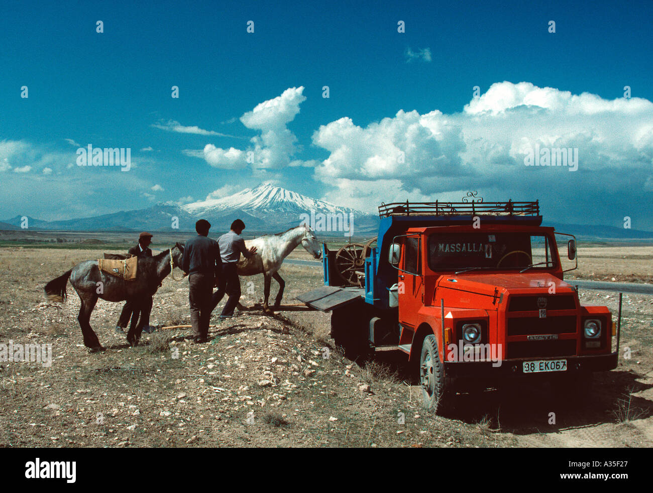 Les chevaux d'être chargés sur camion à ci-dessous Mt Erciyes Turquie centrale Banque D'Images