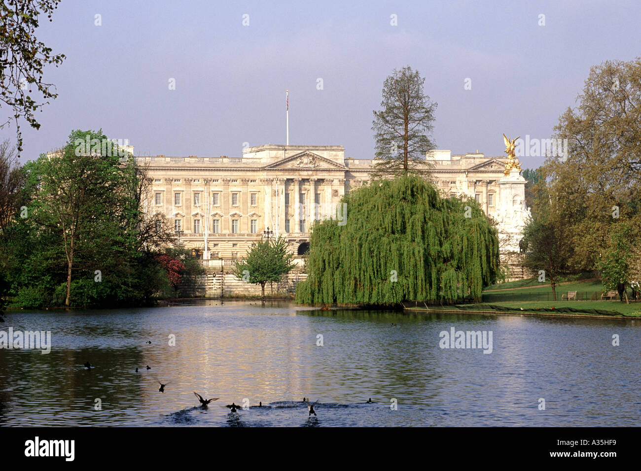 Le palais de Buckingham vu à travers St James Park à Londres. Banque D'Images