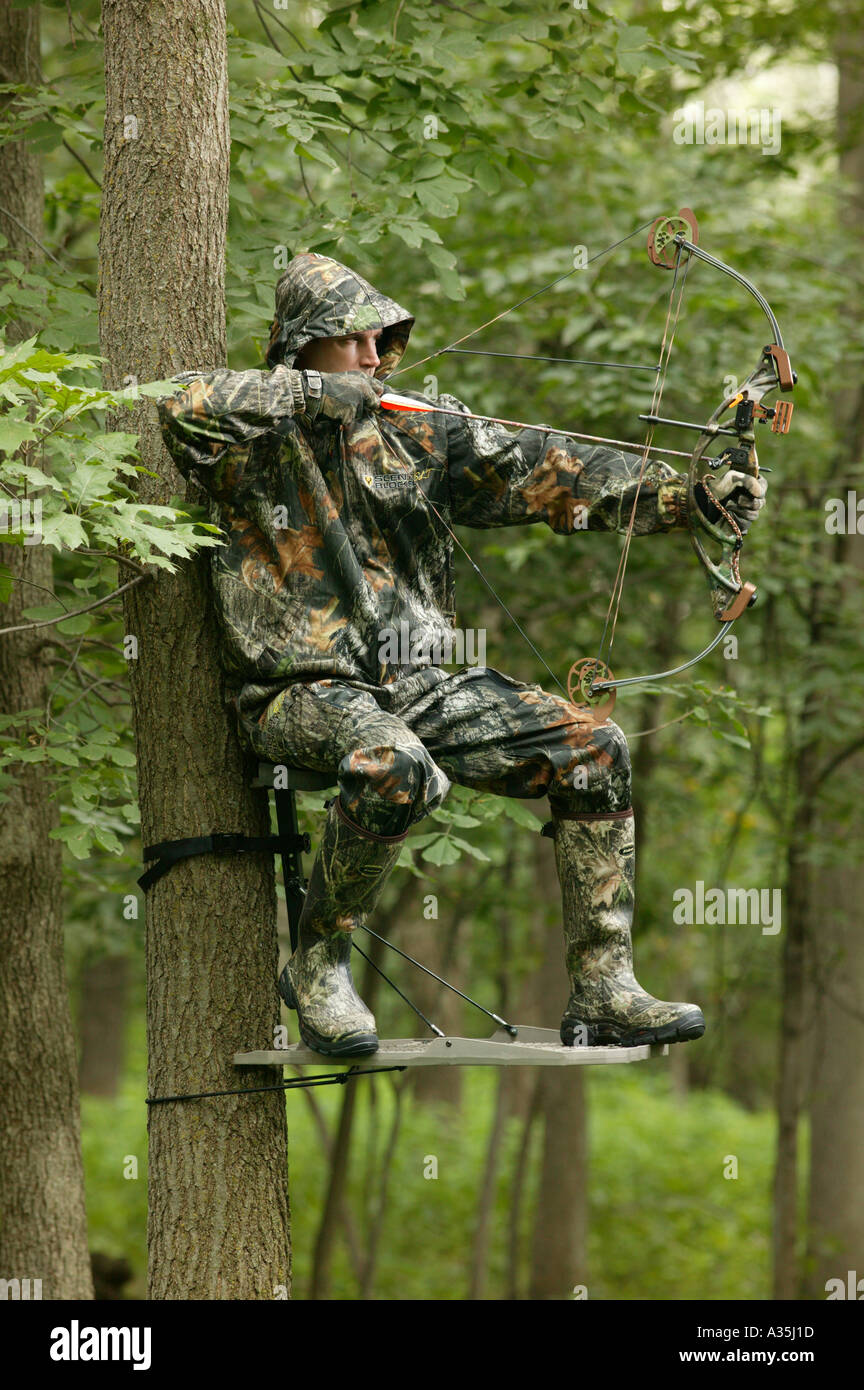 Dans la chasse à l'Arc un pied de l'arbre dans les bois Banque D'Images