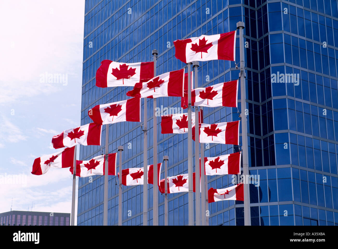 Un groupe de drapeaux nationaux du Canada et dans le vent sur un jour de vent au Canada Banque D'Images