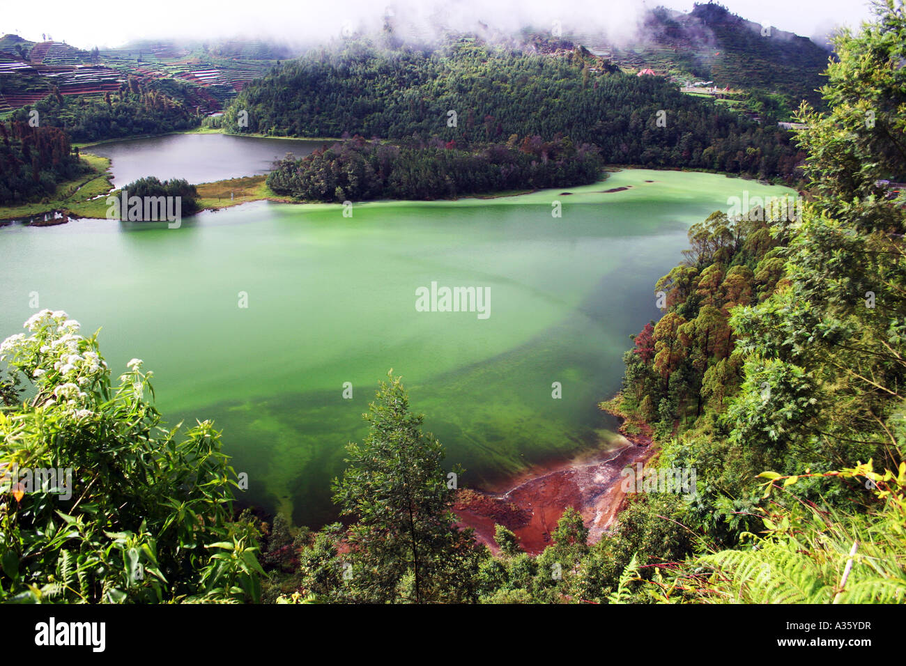 Dans le lac Telaga Warna Dieng Plateau, Indonésie Banque D'Images