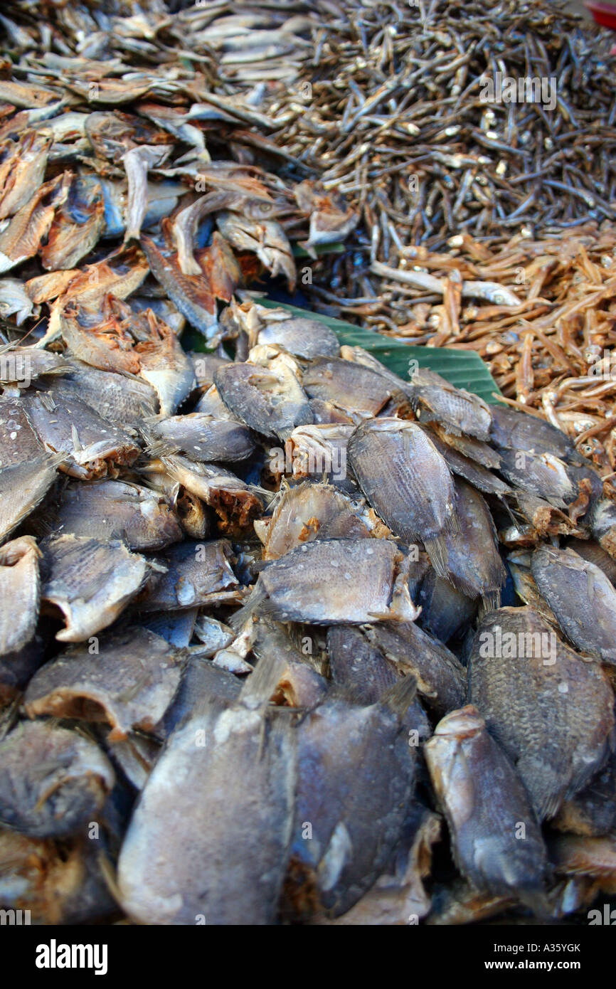 Poissons au lac Maninjau depuis le marché du village Banque D'Images