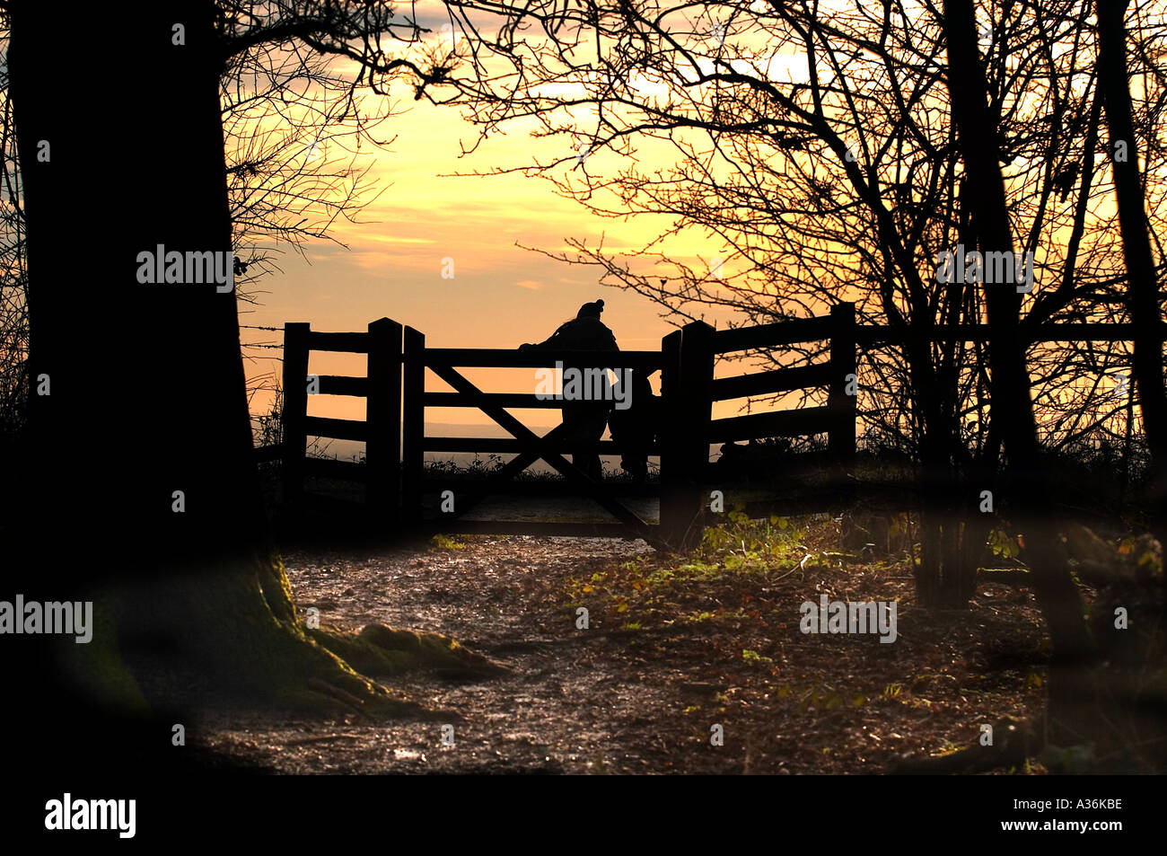 La temporisation en hiver plus Colleyhill Reigate Surrey Banque D'Images